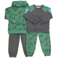 Colourblocking Sweatshirt in pistachio-grass
