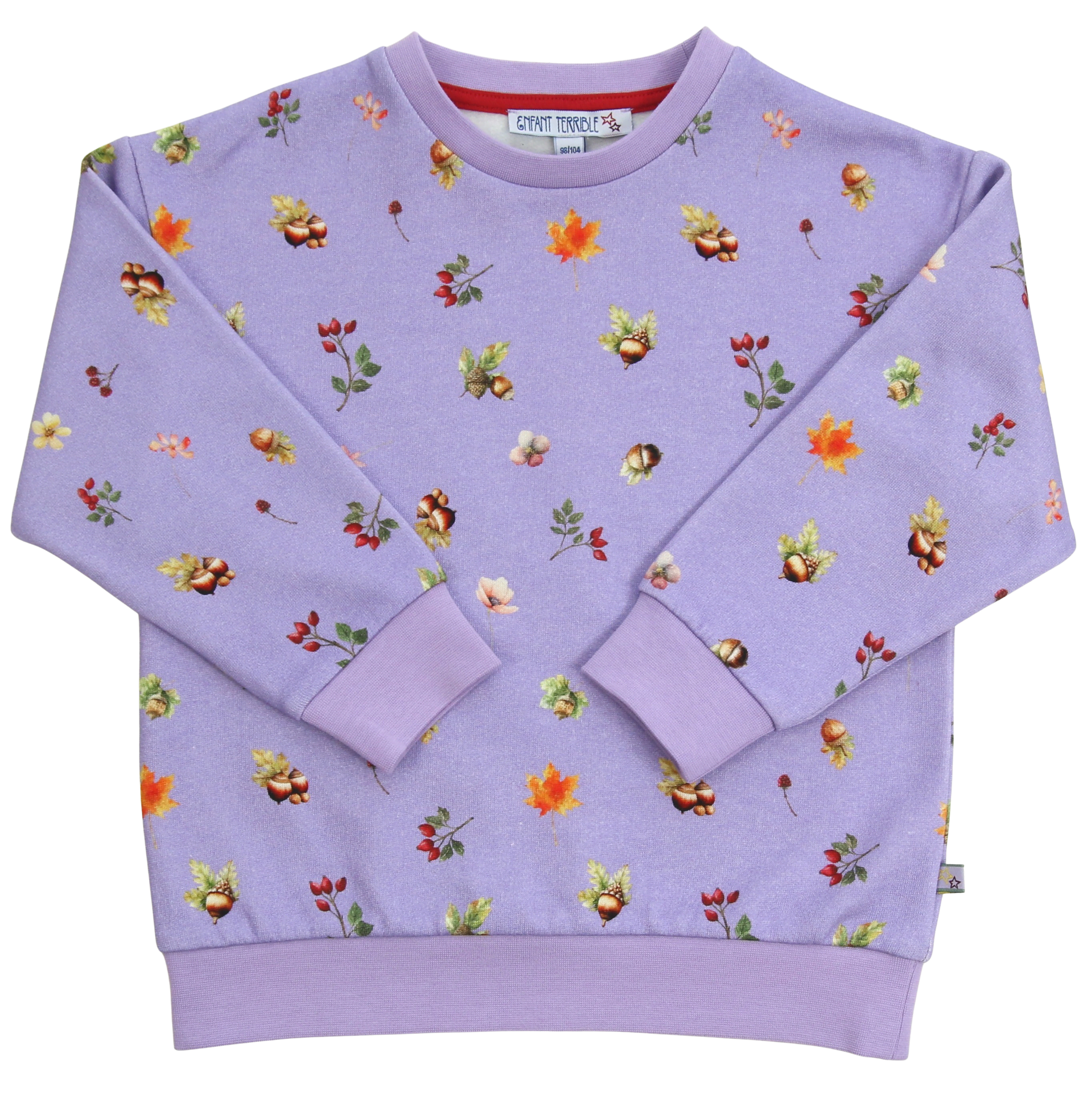 Sweatshirt mit Blätterdruck in lilac-burnt red