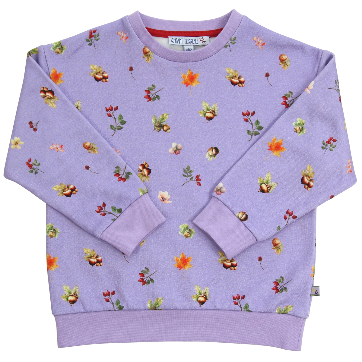 Sweatshirt mit Blätterdruck in lilac-burnt red