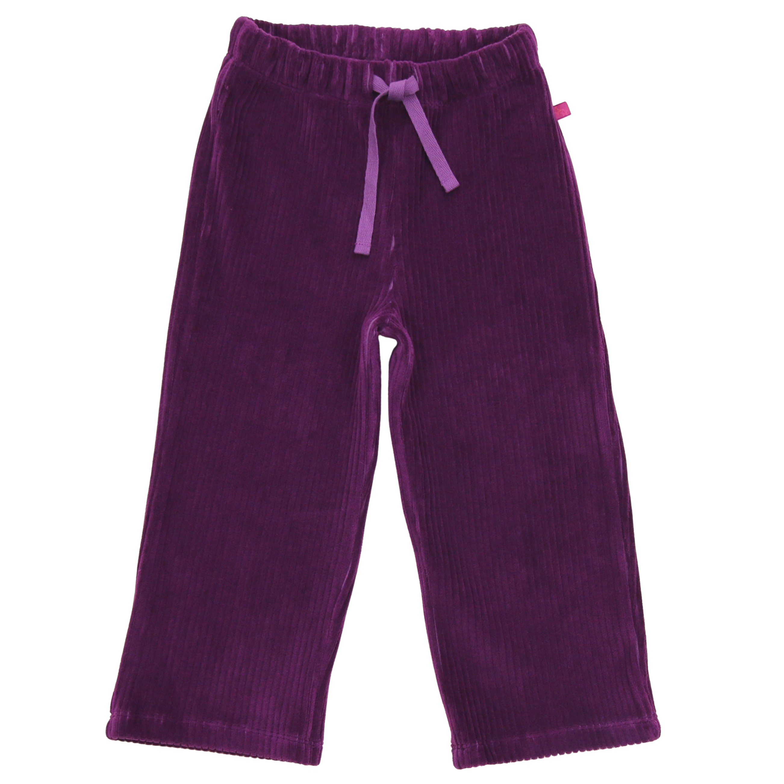 Hose Velvet rib in dark grape