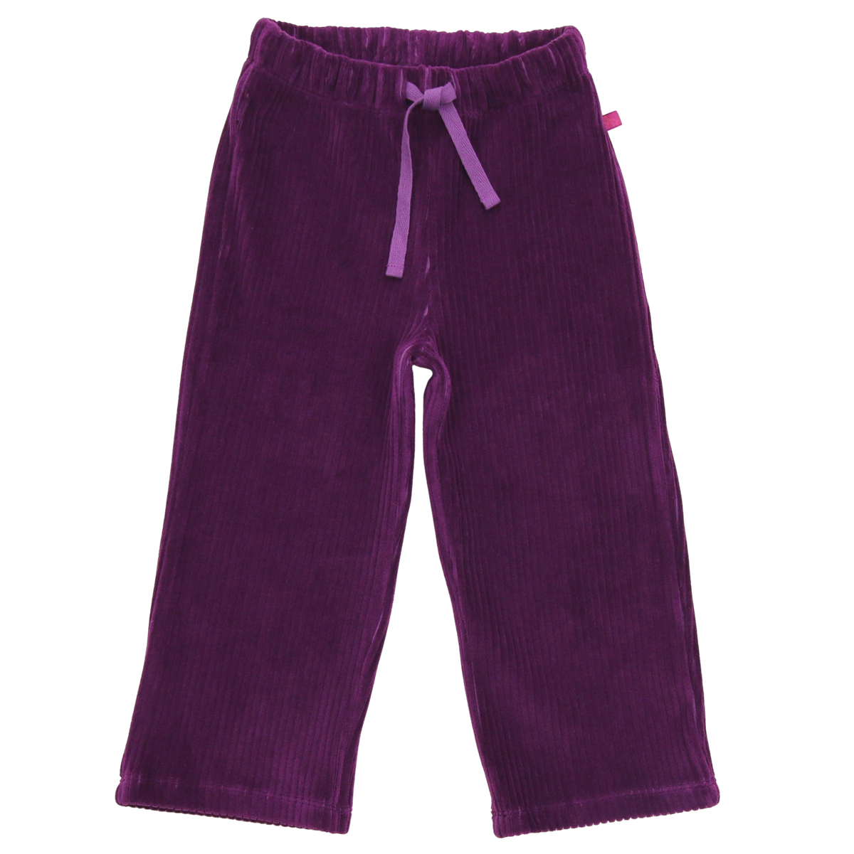 Hose Velvet rib in dark grape
