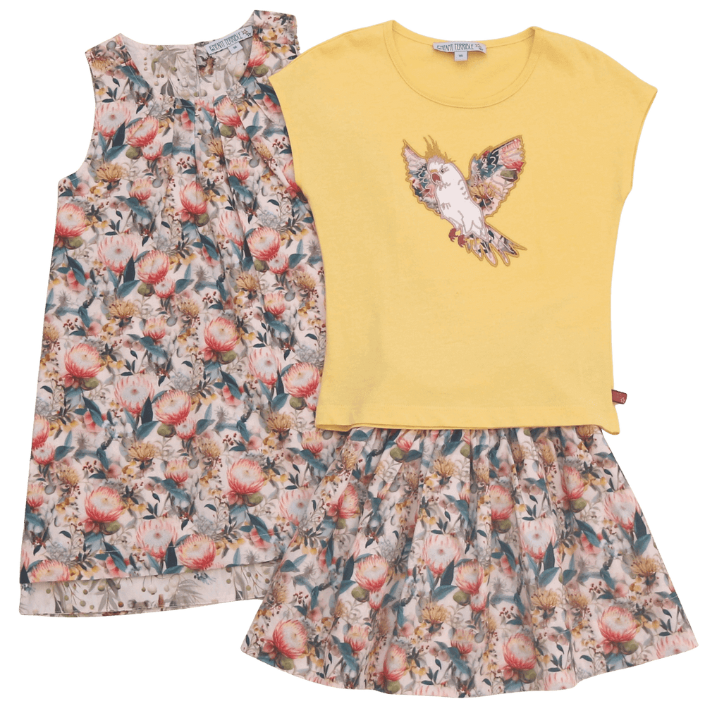 IMG 2108